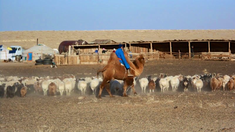 Mongolia